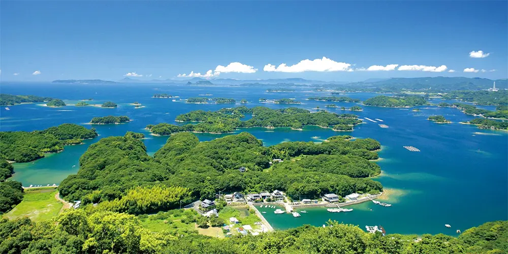 20260220_02 - 太陽光発電・蓄電池の販売及び工事専門会社|株式会社ソルト